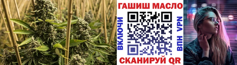 Купить где  Верея  ТГК гашишное масло 