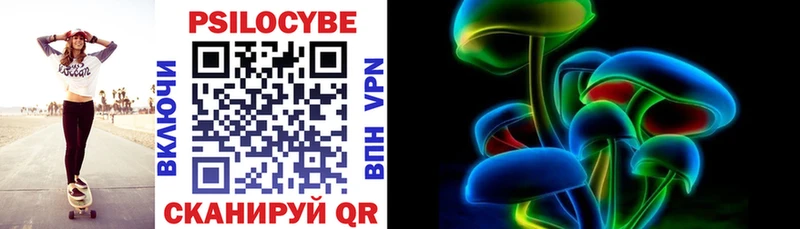 Галлюциногенные грибы Psilocybe Верея