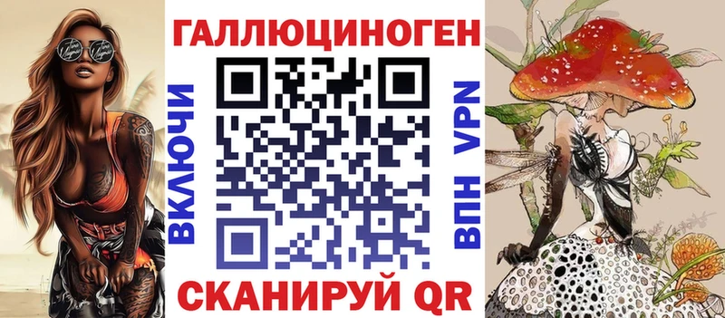 Купить где Верея Псилоцибиновые грибы Cubensis